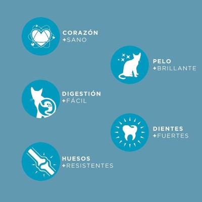 CANUN CAT DAILY MAINTENANCE 20KG