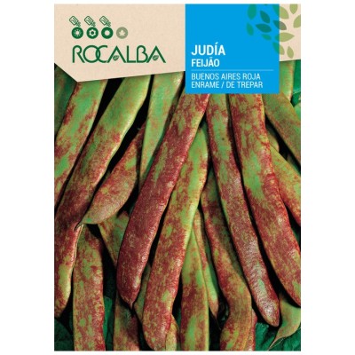 JUDIA BUENOS AIRES ROJA ENRAME 250 GR.