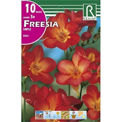 ROCALBA BULBO FREESIA SIMPLE ROJO (10 UD)