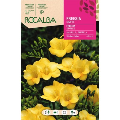 ROCALBA BULBO FREESIA SIMPLE AMARILLO (10 UD)