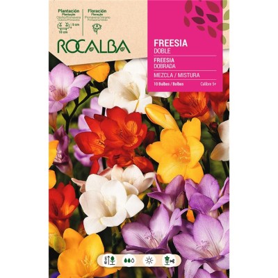ROCALBA BULBO FREESIA DOBLE MEZCLA DE COLORES - 10 UD