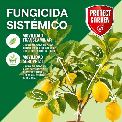 PROTECT GARDEN MOMENTUM 500GR