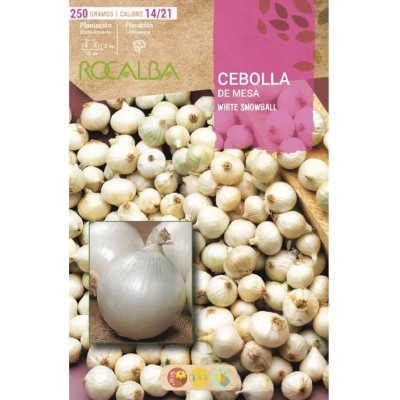 Bulbo de cebolla para plantar variedad "white snowball " 250gr - Rocalba