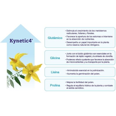 Seipasa Bioestimulante de Floración y Cuajado para Plantas Compact Kynetic4 250 ml