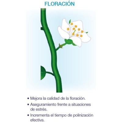 Seipasa Bioestimulante de Floración y Cuajado para Plantas Compact Kynetic4 250 ml