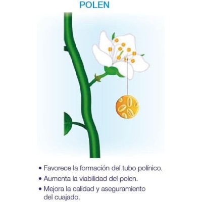 Seipasa Bioestimulante de Floración y Cuajado para Plantas Compact Kynetic4 250 ml