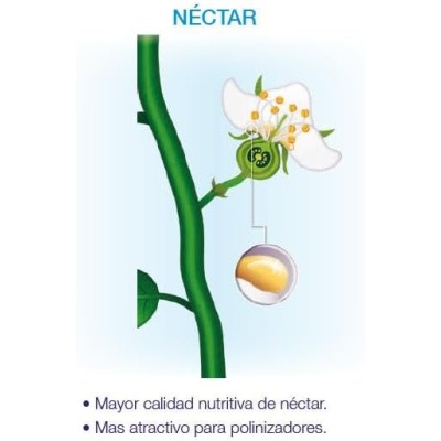 Seipasa Bioestimulante de Floración y Cuajado para Plantas Compact Kynetic4 250 ml