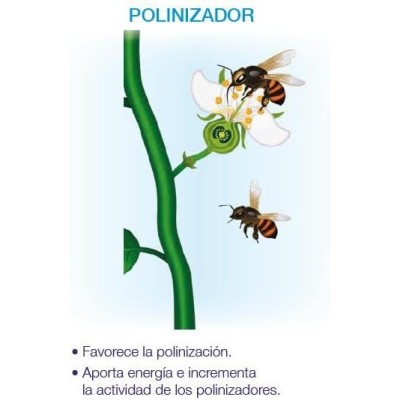 Seipasa Bioestimulante de Floración y Cuajado para Plantas Compact Kynetic4 250 ml