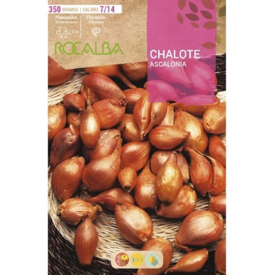 Bulbo de cebolla para plantar variedad "chalote " 350gr - Rocalba