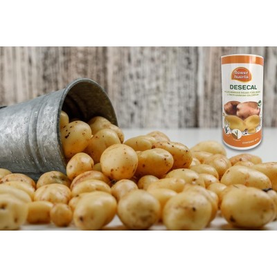 FLOWER DESECAL 400GR