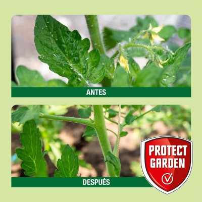 PROTECT GARDEN INSECTICIDA CHOQUE 100ML