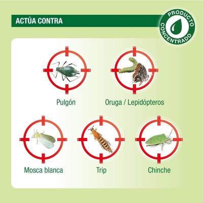 PROTECT GARDEN INSECTICIDA CHOQUE 250ML