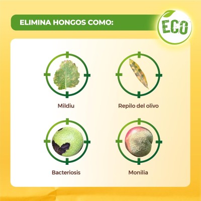 SOLABIOL COBRE 50GR