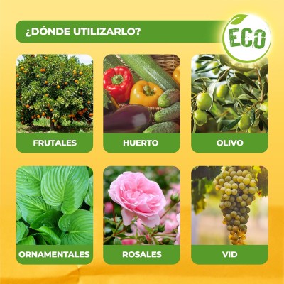 SOLABIOL COBRE 50GR