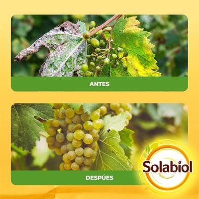 SOLABIOL COBRE 50GR