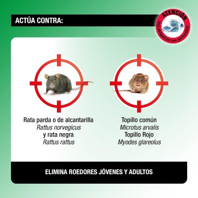 PROTECT HOME RATAS Y TOPILLOS 720GR