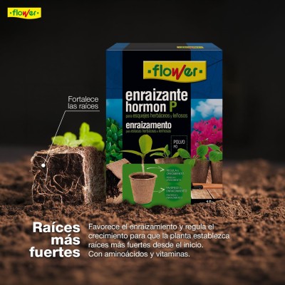 FLOWER ENRAIZANTE HORMON P | 50GR