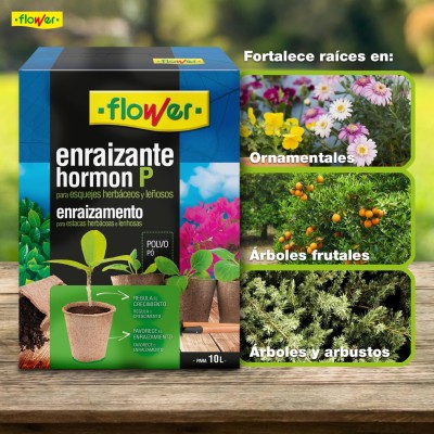 FLOWER ENRAIZANTE HORMON P | 50GR