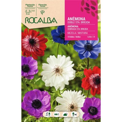 ROCALBA BULBO ANEMONA DOBLE SANTA BRIGIDA (10 UD)