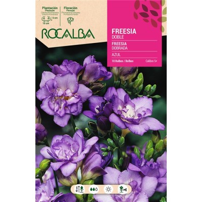 ROCALBA BULBO FREESIA DOBLE AZUL (10 UD)