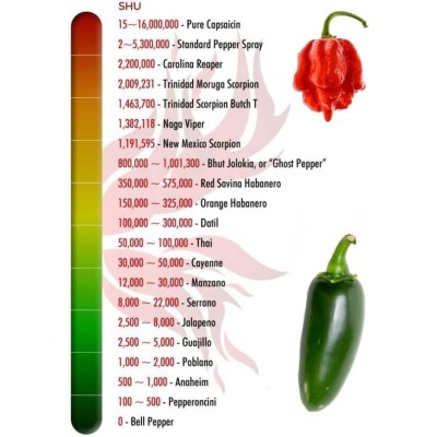 ROCALBA SEMILLAS PIMIENTO PICANTE HABANERO ORANGE