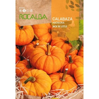 ROCALBA SEMILLA CALABAZA JACK BE LITTLE