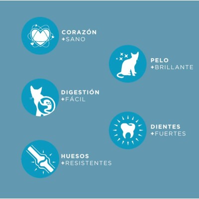 CANUN CATS DAILY MAINTENANCE 3KG
