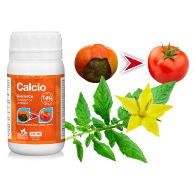 SEIPASA GUADAL CALCIO 250ML