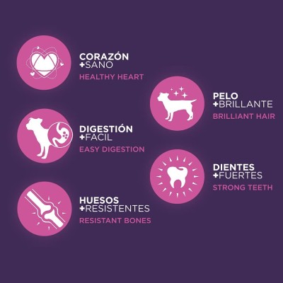 CANUN PREMIUM PUPPY CACHORRO 4KG
