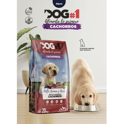 DOG #1 CACHORRO 20KG