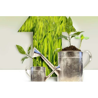 SUSTRATO GROW ESPECIAL CRECIMIENTO 50L
