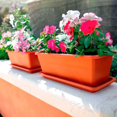 JARDINERA ALARGADA CON PLATO 50CM