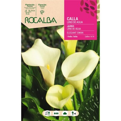ROCALBA BULBO CALLA ELEGANT SWAN (BLANCO)