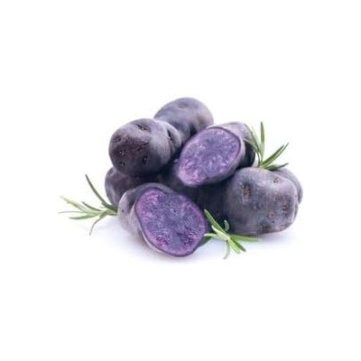 CAJA Patata de siembra Vitelotte (morada) - Bandeja de 100 unidades.