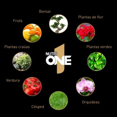 NUTRIONE GRANO 3KG