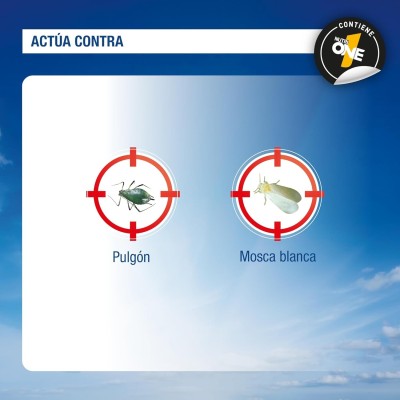INSECTICIDA Y FERTILIZANTE DOBLE ACCIÓN SANIUM PIN PASTILLAS