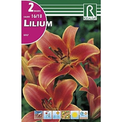 BULBO LILIUM GOLF (2 UD)