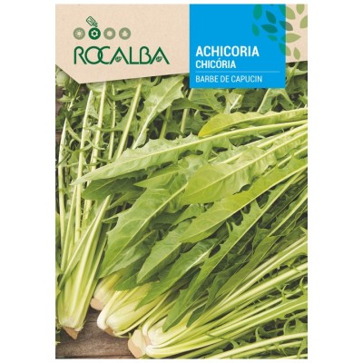 ACHICORIA BARBE DE CAPUCIN - SOBRE DE SEMILLAS 10 GR