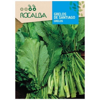 Semilla Grelos de Santiago - Rocalba