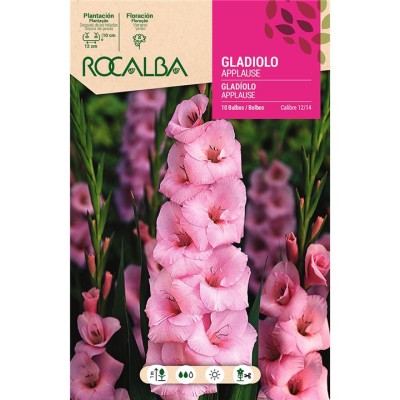 BULBO GLADIOLO APPLAUSE ROSA - (10 UD)