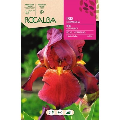BULBO IRIS GERMANICA ROJO - 1 UD.
