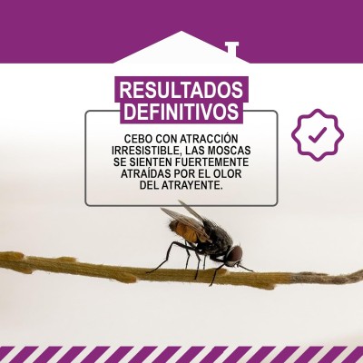 MASTERLAC CEBO MOSCAS 125 GR