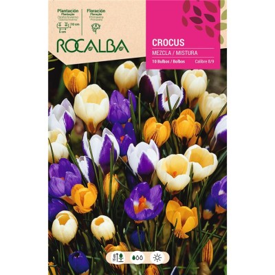 BULBO CROCUS VARIADO (10 UD)