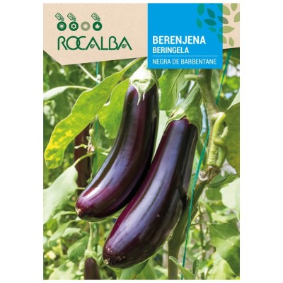 ROCALBA BERENJENA NEGRA DE BARBENTANE 3g