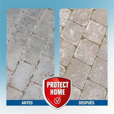 PROTECT HOME ANTIHORMIGAS GRANULADO 200GR