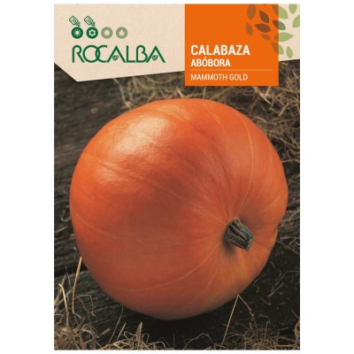 ROCALBA SEMILLA CALABAZA MAMMOTH GOLD 3g