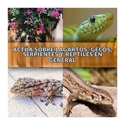 MONDOVERDE REPELENTE DE REPTILES GRANULADO 1000ML