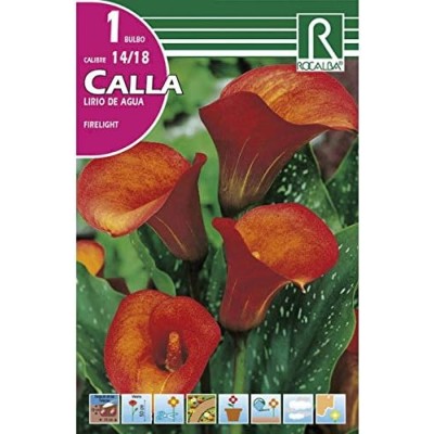 ROCALBA BULBO CALLA LIRIO DE AGUA FIRELIGHT - 1 UD