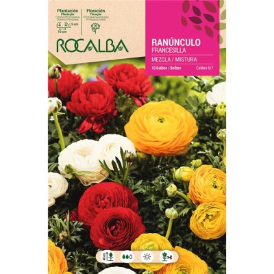 ROCALBA BULBO RANUNCULO FRANCESILLA MEZCLA DE COLORES (10 UD)