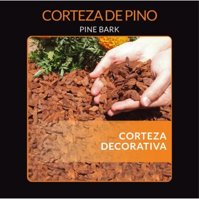 PINOT CORTEZA DE PINO 25-45MM